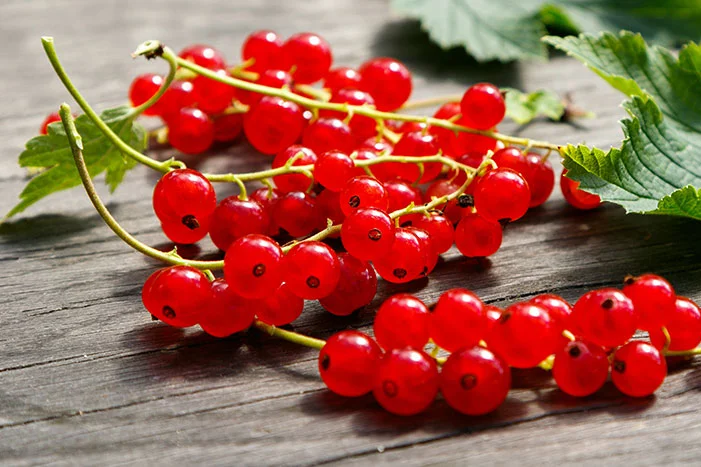 Rote Johannisbeeren auf Holz